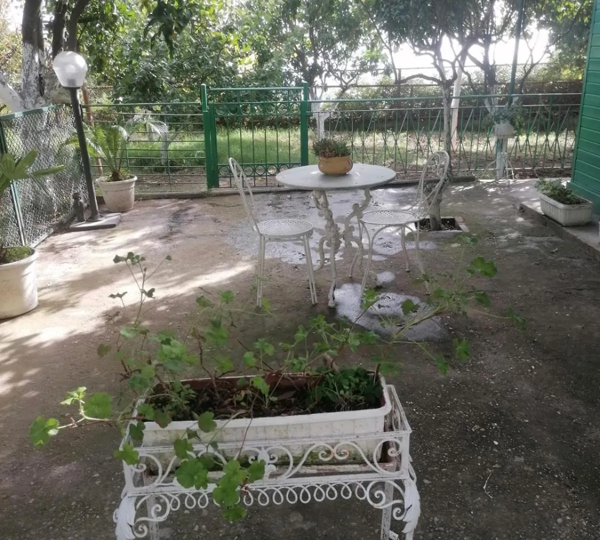 Petrarca Dream Villa Naples